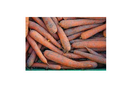 carottes, portion de 500g