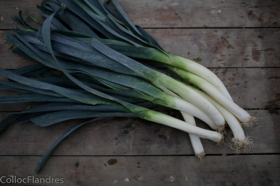 poireaux, portion de 1kg