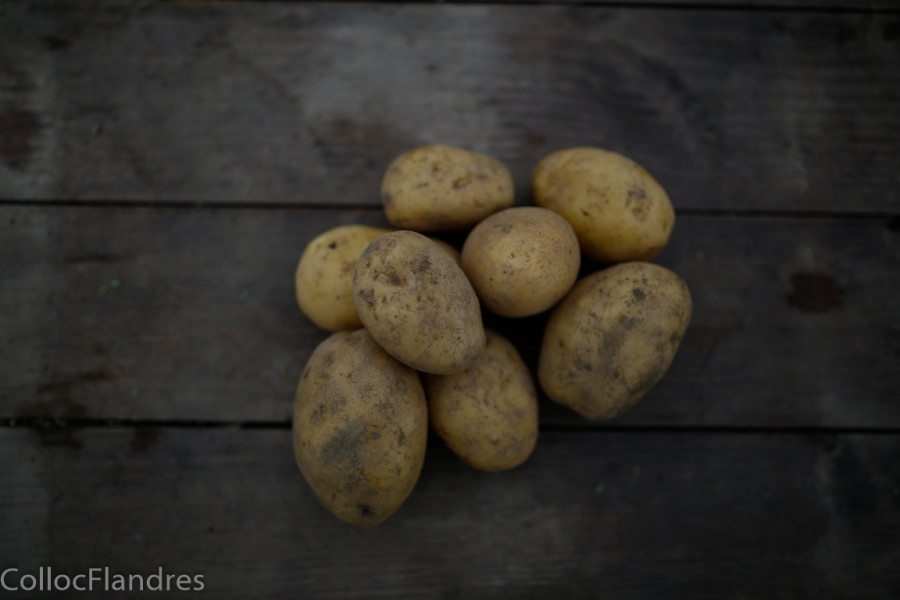 pomme de terre chaire ferme, 500g