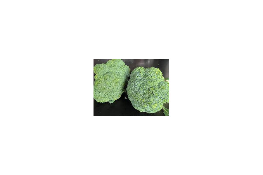 brocoli