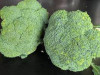 brocoli