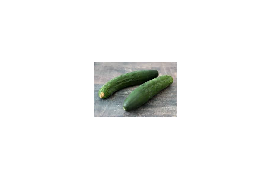 concombre
