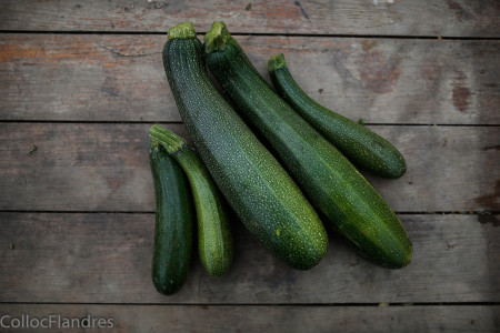 courgette verte - 500g