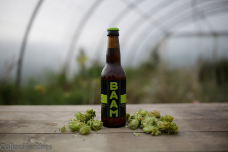 BAAM IPA 33 cl