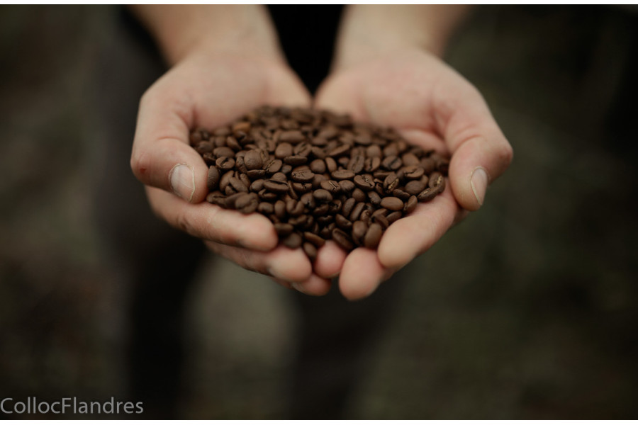 Café Pérou Bio 1 kg GRAINS