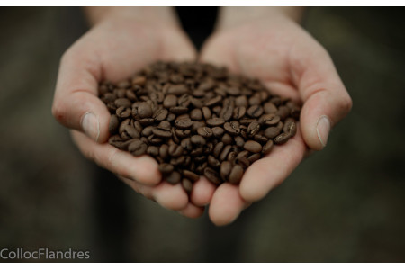 Café Mexique Bio 1 KG GRAINS