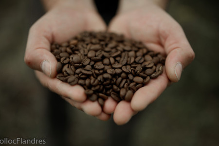 Café Ethiopie Bio 1 KG GRAINS