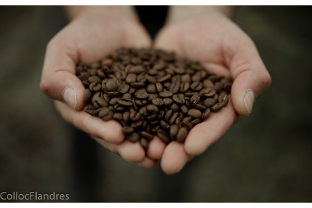 Café Ethiopie Bio 1 KG GRAINS