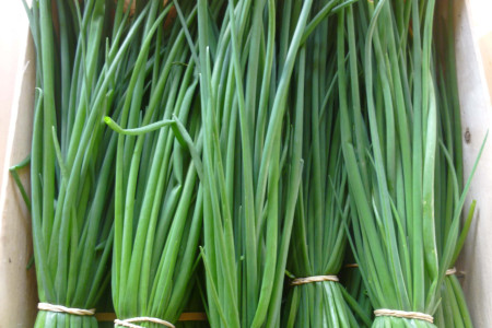 Ciboulette bouquet