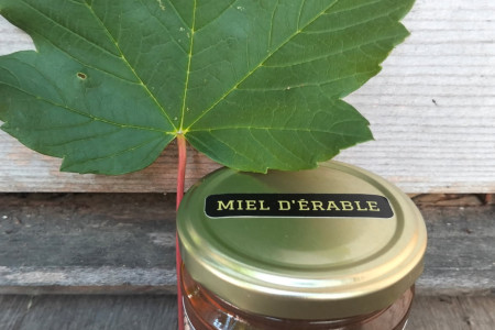 Miel d'érable