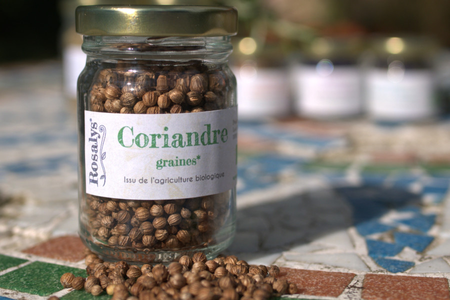 Graines de coriandre