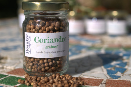 Graines de coriandre