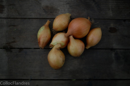 oignons jaunes petit calibre - 500g