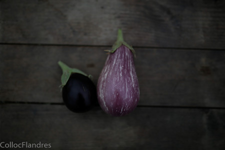 aubergine