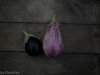 aubergine
