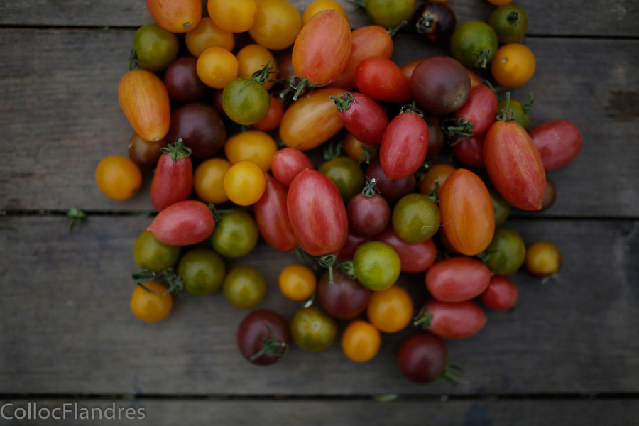 tomates cerise, portion 250g