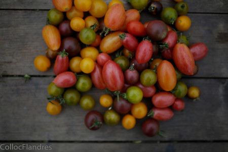 tomates cerise, portion 250g