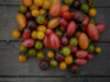 tomates cerise, portion 250g