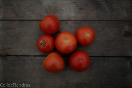 tomates - 500g