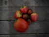 tomates anciennes en mélange