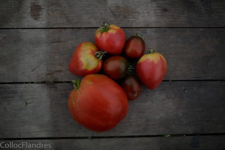 tomates  en mélange